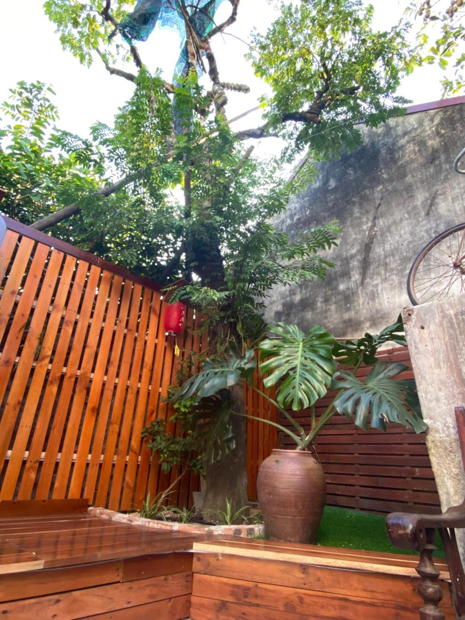 Ohayo Tam Coc Homestay Ninh Binh Dış mekan fotoğraf