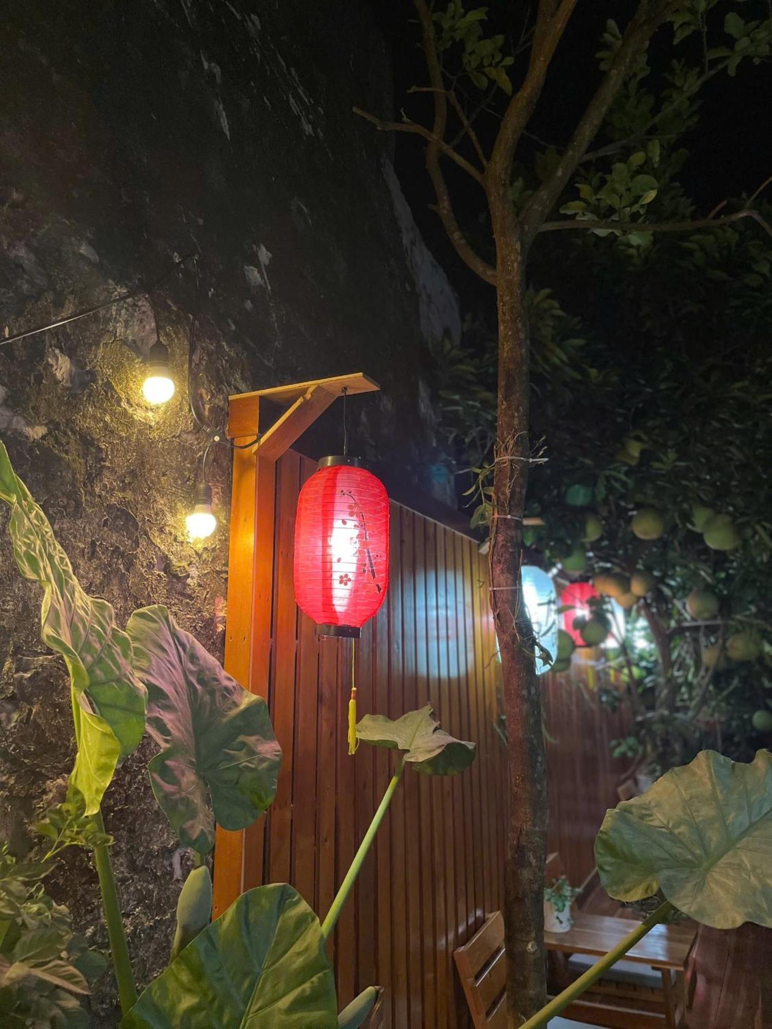 Ohayo Tam Coc Homestay Ninh Binh Dış mekan fotoğraf