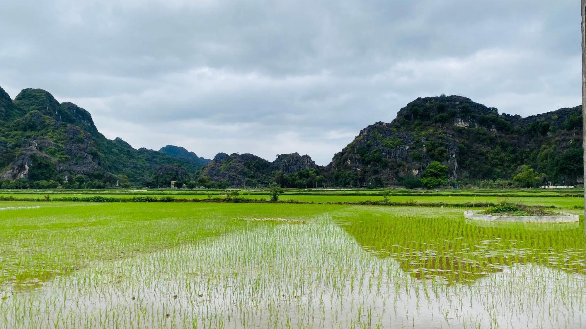 Ohayo Tam Coc Homestay Ninh Binh Dış mekan fotoğraf
