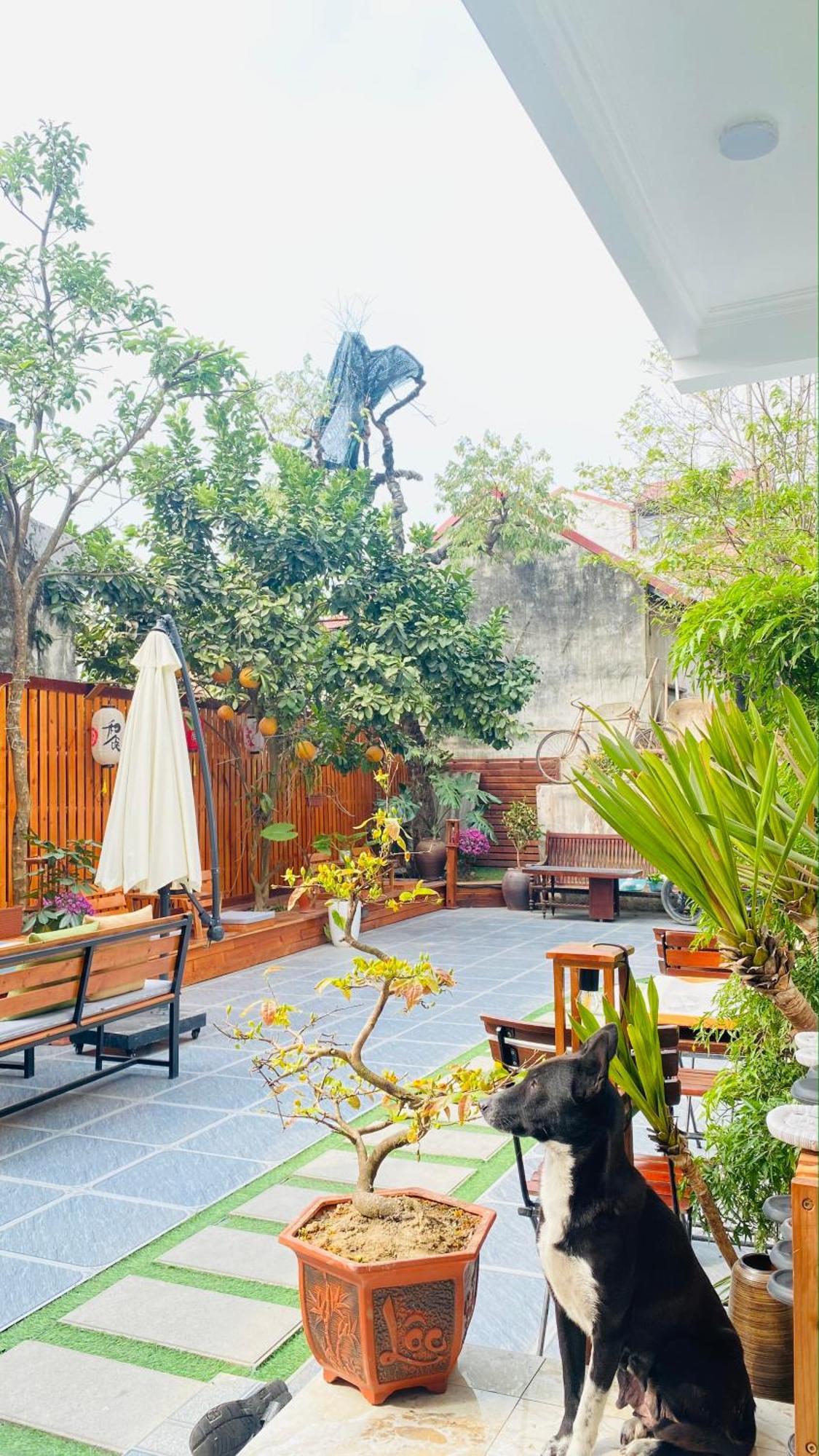 Ohayo Tam Coc Homestay Ninh Binh Dış mekan fotoğraf